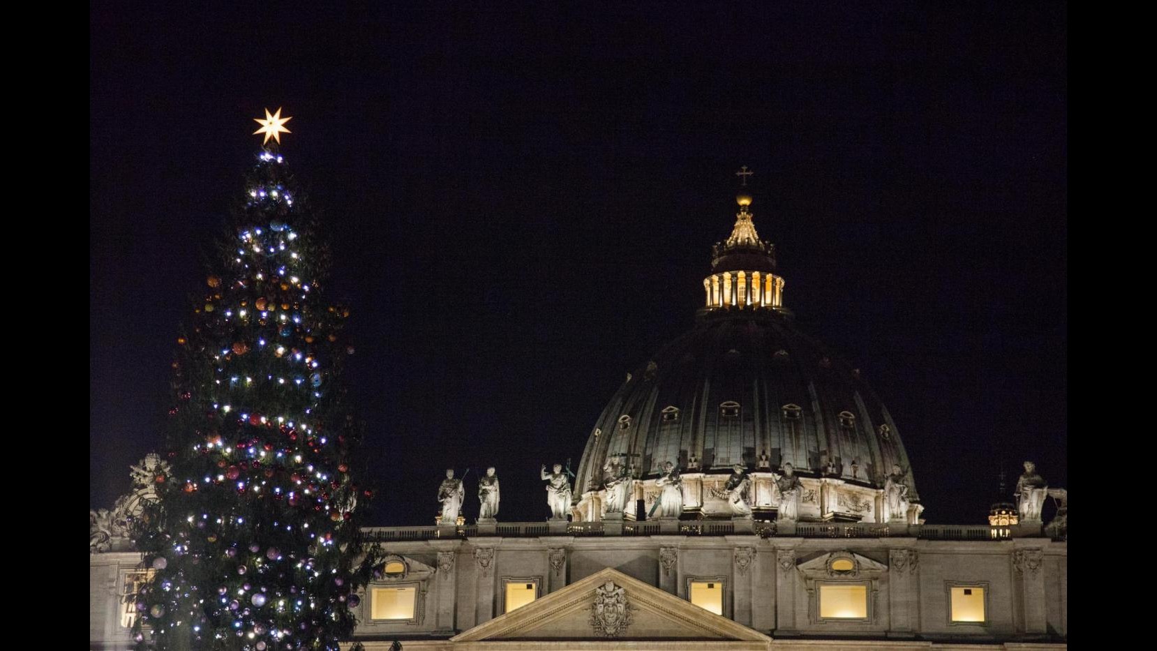 Vaticano, acceso l’albero di Natale: alto 25 metri,viene dalla Baviera