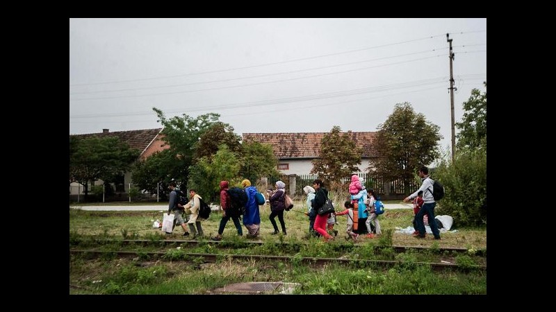 Migranti, Germania: Senza soluzioni europee Stati agiranno singolarmente