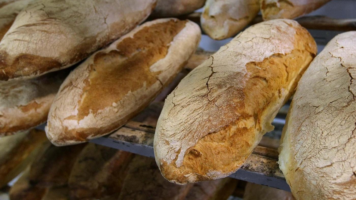 Toscana, Rossi: Soddisfazione per attribuzione Dop a pane toscano