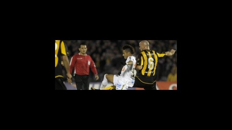 Coppa Libertadores, le quote tifano Santos