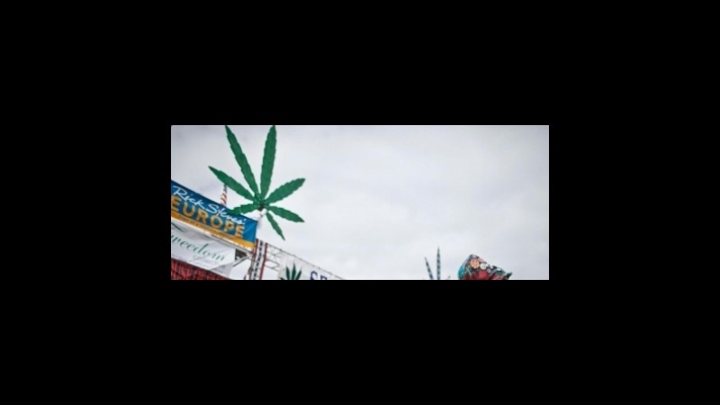 Gb, ricerca sulle droghe leggere: in lavagna la legalizzazione della cannabis