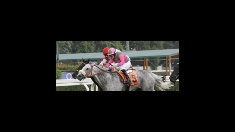 Ippica, Pautasso (HippoGroup): “Privatizzazione e riforma scommesse necessarie per il rilancio”