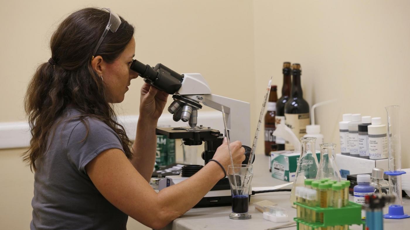 Salute, individuato a Torino gene contro complicanze del diabete