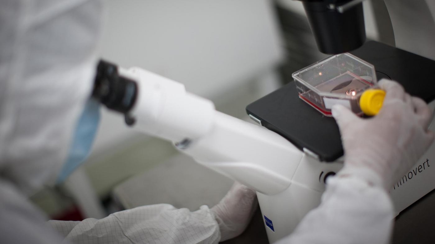 Sanità, individuato a Torino gene contro le complicanze del diabete