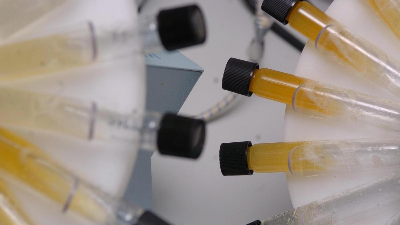 Doping, atletica: Adidas pronta a stop sponsorizzazione Iaaf