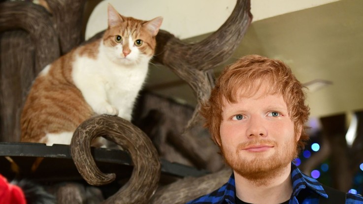 Ed Sheeran in incognito su Instagram: il cantante apre un nuovo account