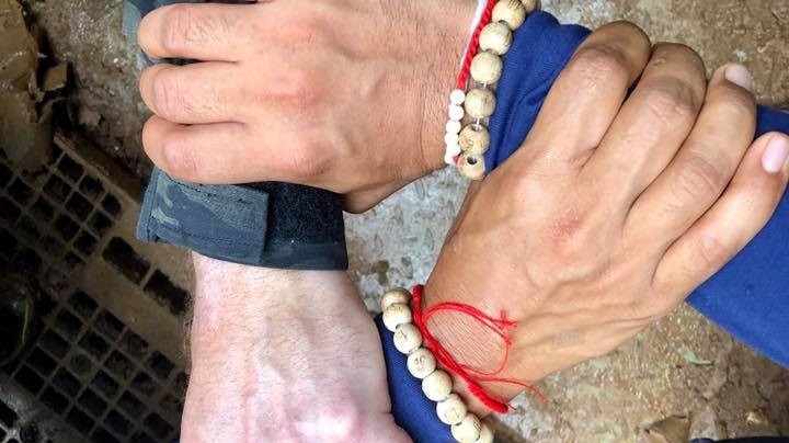 Soccorritori thailandesi e internazionali: “Portiamo a casa i cinghialotti”