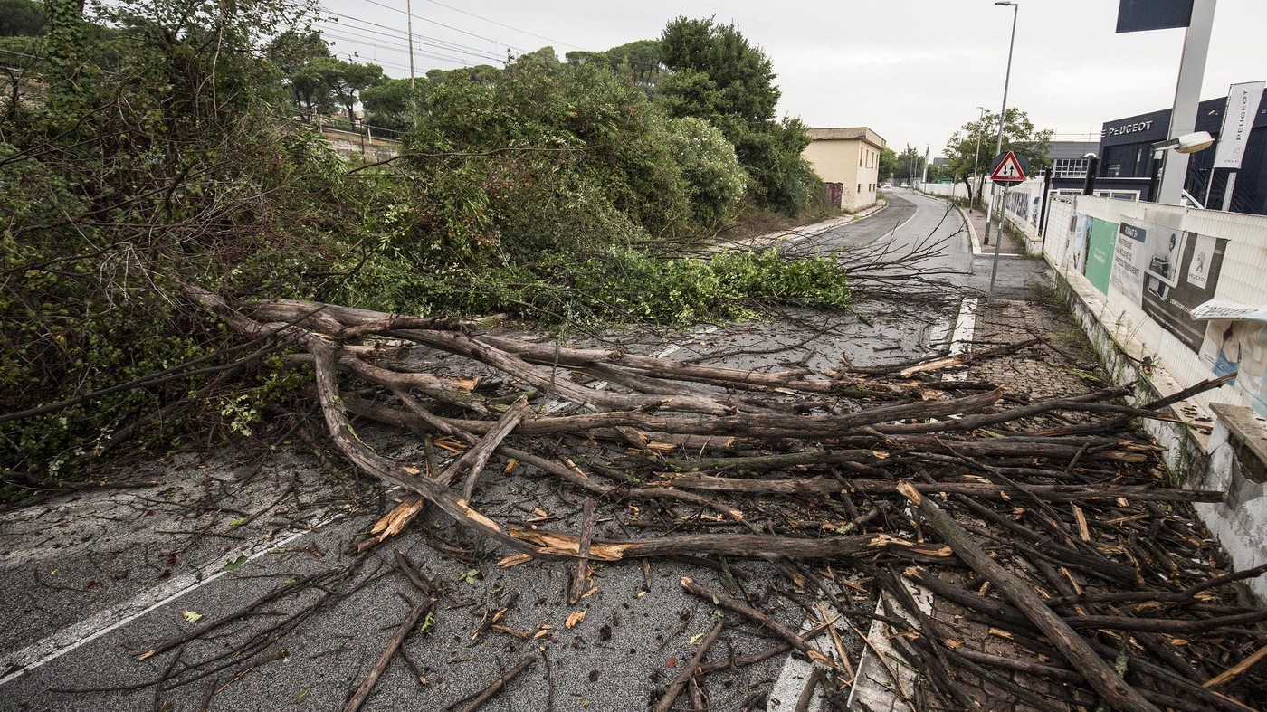 Maltempo, Coldiretti: “Da cambio clima 14 miliardi danni nell’ultimo decennio”