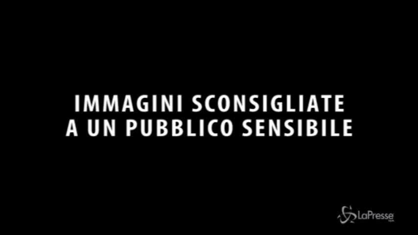 Cuccioli morti in braccio: protesta choc degli animalisti sudcoreani