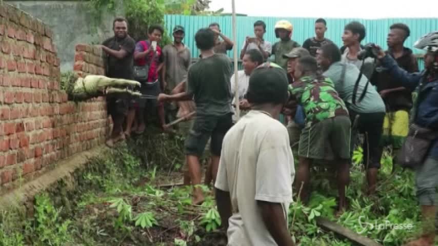 Indonesia, massacrano 292 coccodrilli per vendicare l’amico sbranato