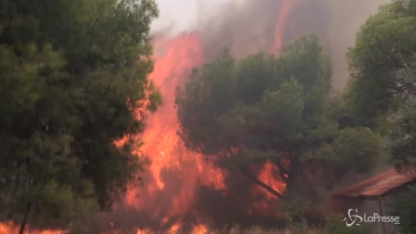 Inferno di fuoco in Grecia, bimbi e turisti tra le vittime