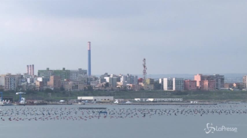 Ilva, Di Maio avvia iter per valutare l’annullamento della gara
