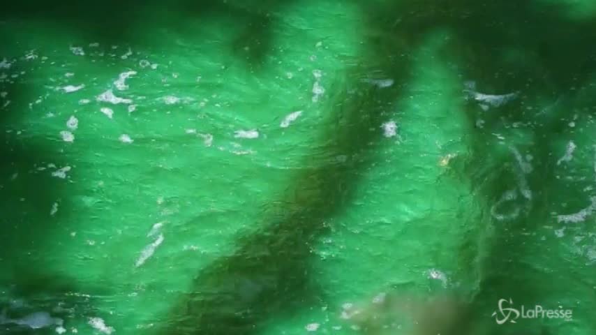 Milano, il fiume Lambro si colora di verde smeraldo