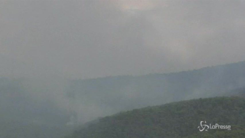Roghi in Grecia, continua la lotta contro le fiamme