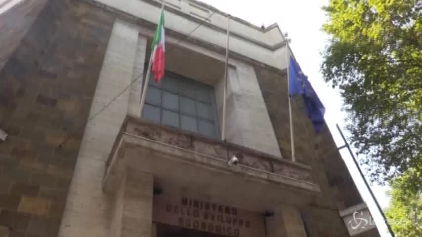 Ilva, Bentivogli (Fim Cisl): “Lavori e ambiente a Taranto hanno fretta”
