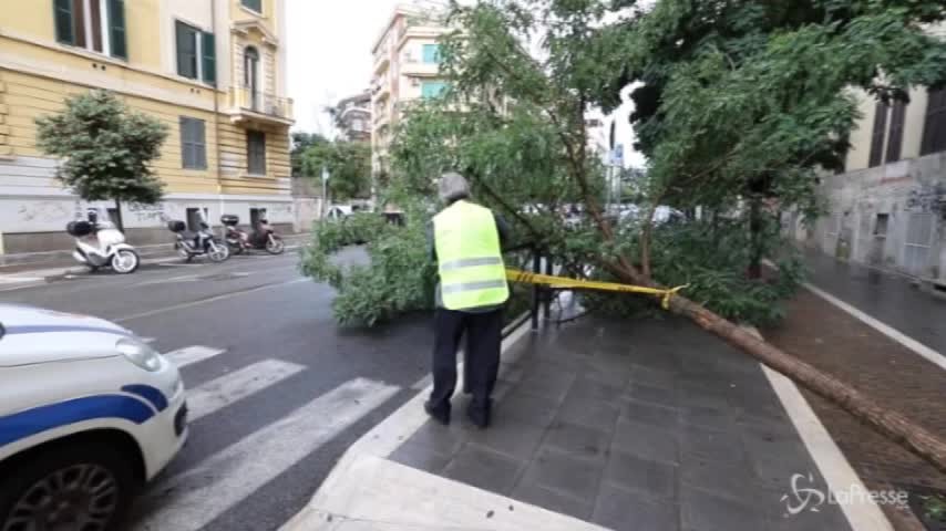 Maltempo a Roma, alberi caduti e strade allagate