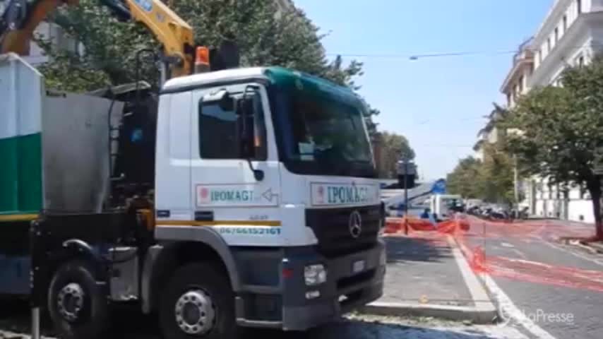 Roma, abbattuti i cipressi in piazza del Popolo