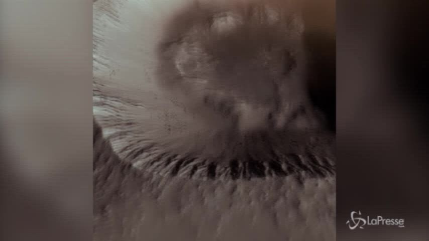 Marte, le spettacolari immagini in 3D del pianeta rosso