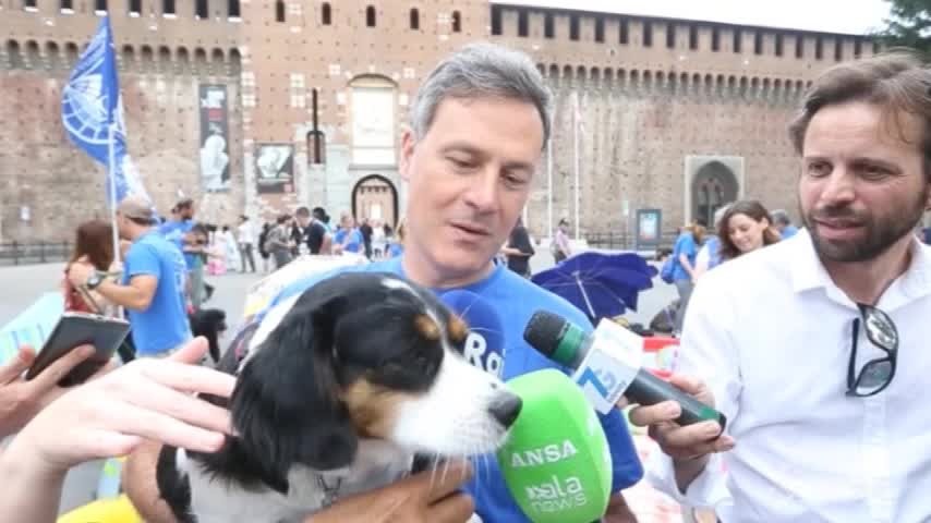 Oipa contro l’abbandono: il comico Franz presenta il suo amico a quattro zampe