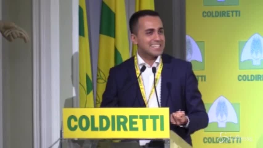 Di Maio: “Il Ceta non sarà ratificato dal parlamento”