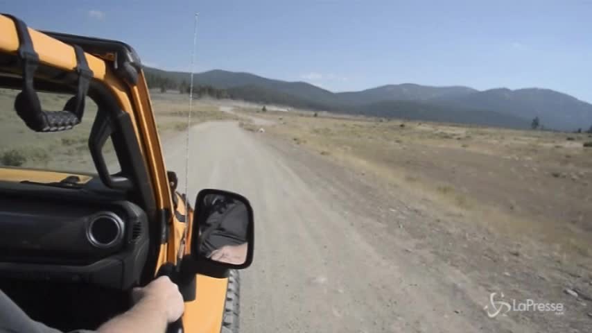 In California al volante delle Jeep del futuro: Stitch, Nachos e Jeepster