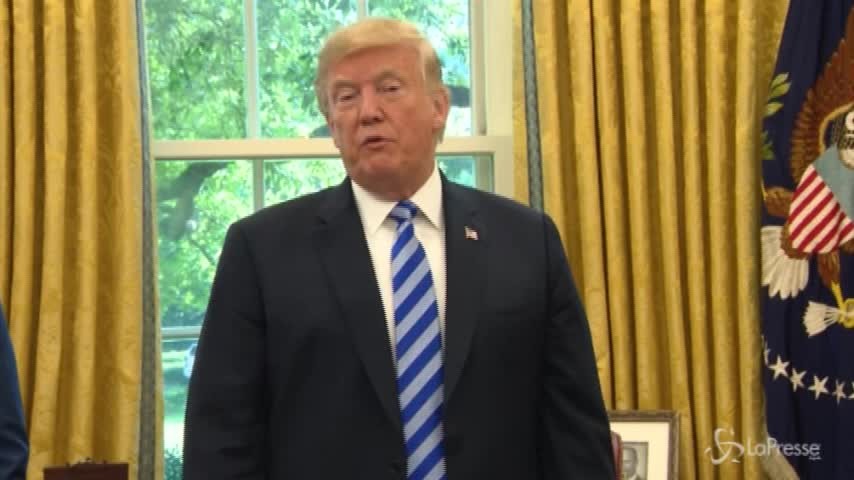 Raid aerei in Siria, inascoltato l’appello di Trump
