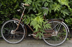 Olanda, treno travolge cargo bike: morti 4 bambini