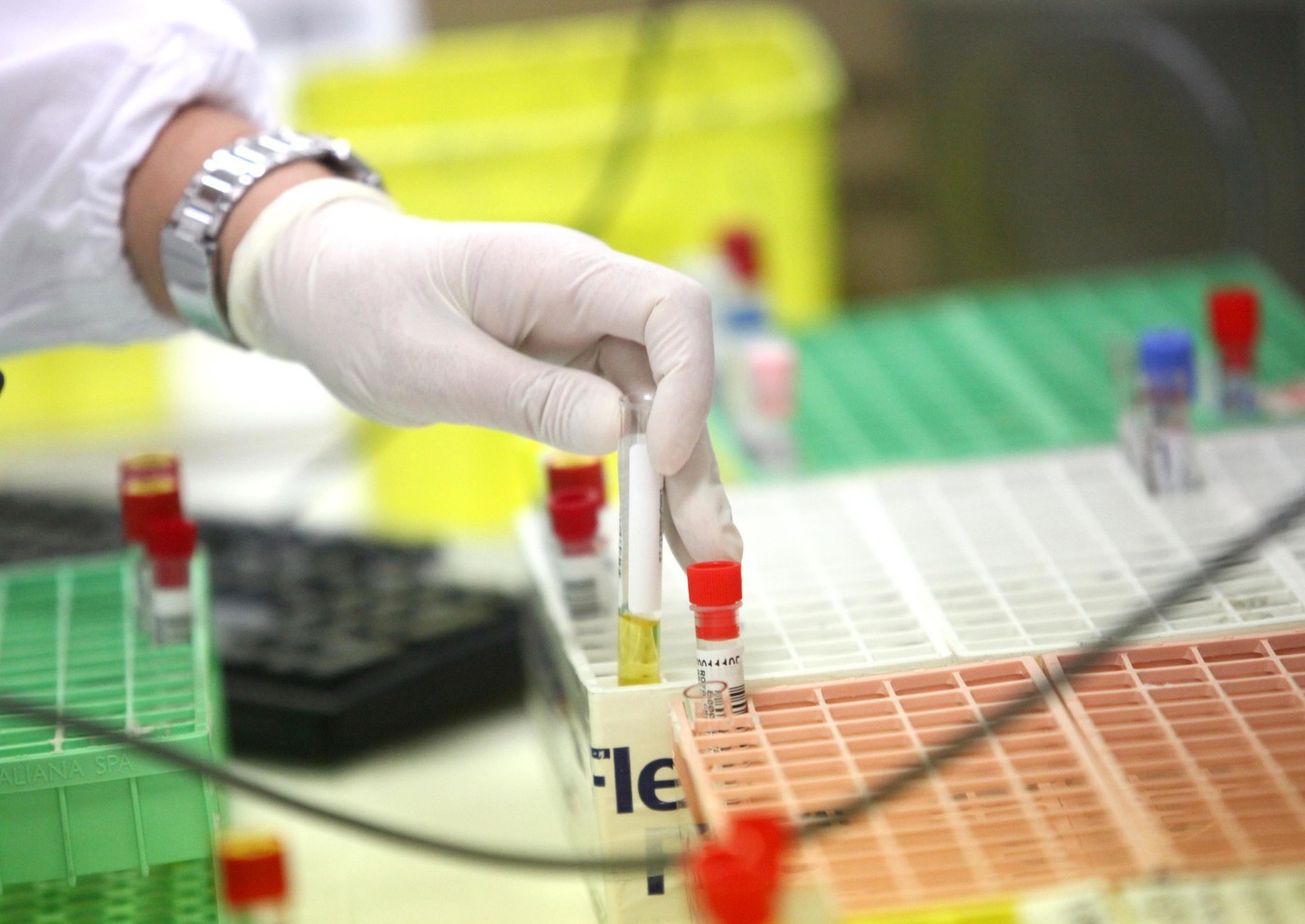 Che cos’è l’immunoterapia, quel freno naturale per l’avanzata dei tumori premiato con il Nobel