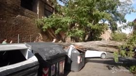 Maltempo a Roma, cade albero in via Campania