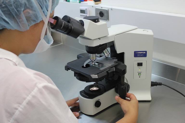 Il colera torna in Italia dopo 45 anni: cause e sintomi