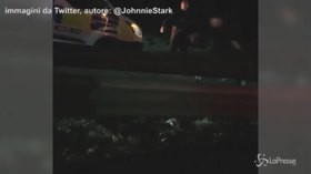 Toro contro auto della polizia: corsa in autostrada a Bristol