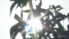 Il 2018 l’anno più caldo in Italia da oltre due secoli
