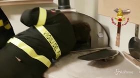 Una civetta nel forno: sorpresa per il pizzaiolo