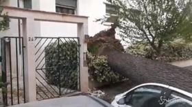 Maltempo, a Roma bus scoperchiato e alberi sulle auto in strada