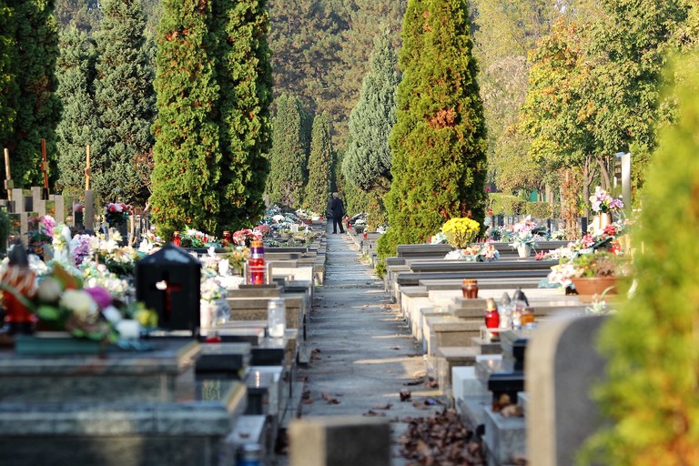 Palermo, tangenti e vilipendio di cadaveri al cimitero: smantellato gruppo criminale