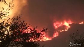 Brucia la California, morti e migliaia di case distrutte