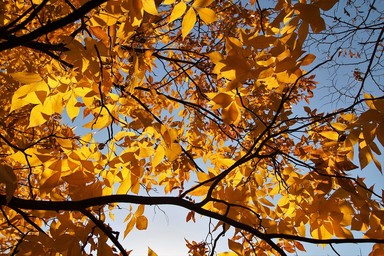 Qualche pioggia al nord, temperature sopra la media: il meteo dell’11 e 12 novembre