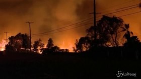 Incendi California, Trump: “Una catastrofe”