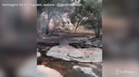 California, Gerard Butler mostra la sua casa distrutta dagli incendi