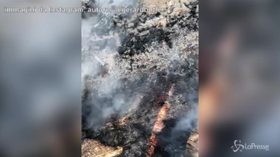 Incendi il California, distrutta la casa dell’attore del colossal “300”