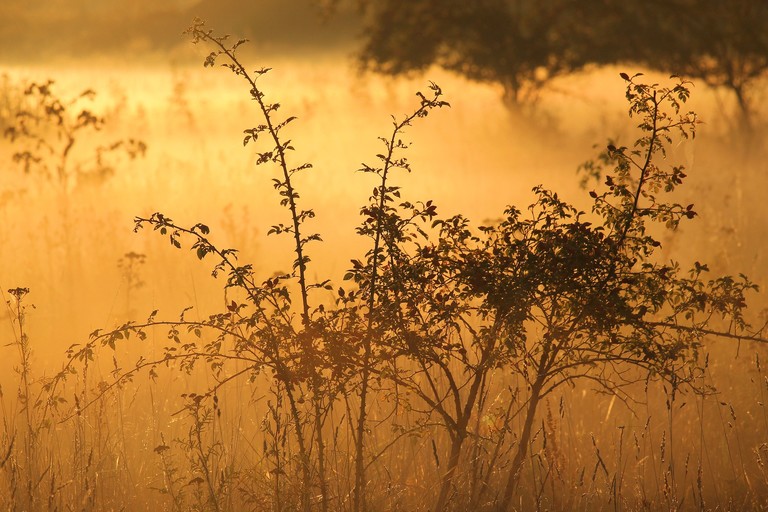 Nebbia al Nord, più sereno al Sud: il meteo del 14 e 15 novembre