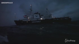 Blitz di Greenpeace su un cargo che trasporta olio di palma
