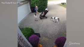 La ‘bambina ninja’ resta appesa al garage, la reazione della mamma sconvolta