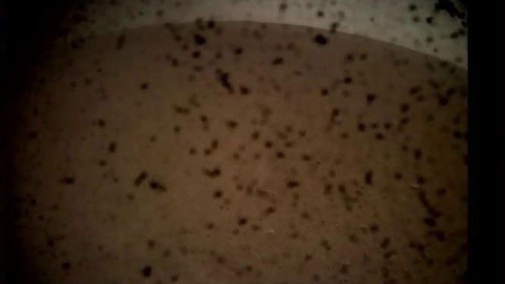InSight è su Marte: la Nasa esulta per la traversata perfetta