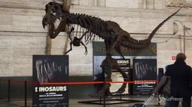 Milano, il T-Rex più grande al mondo in stazione Centrale