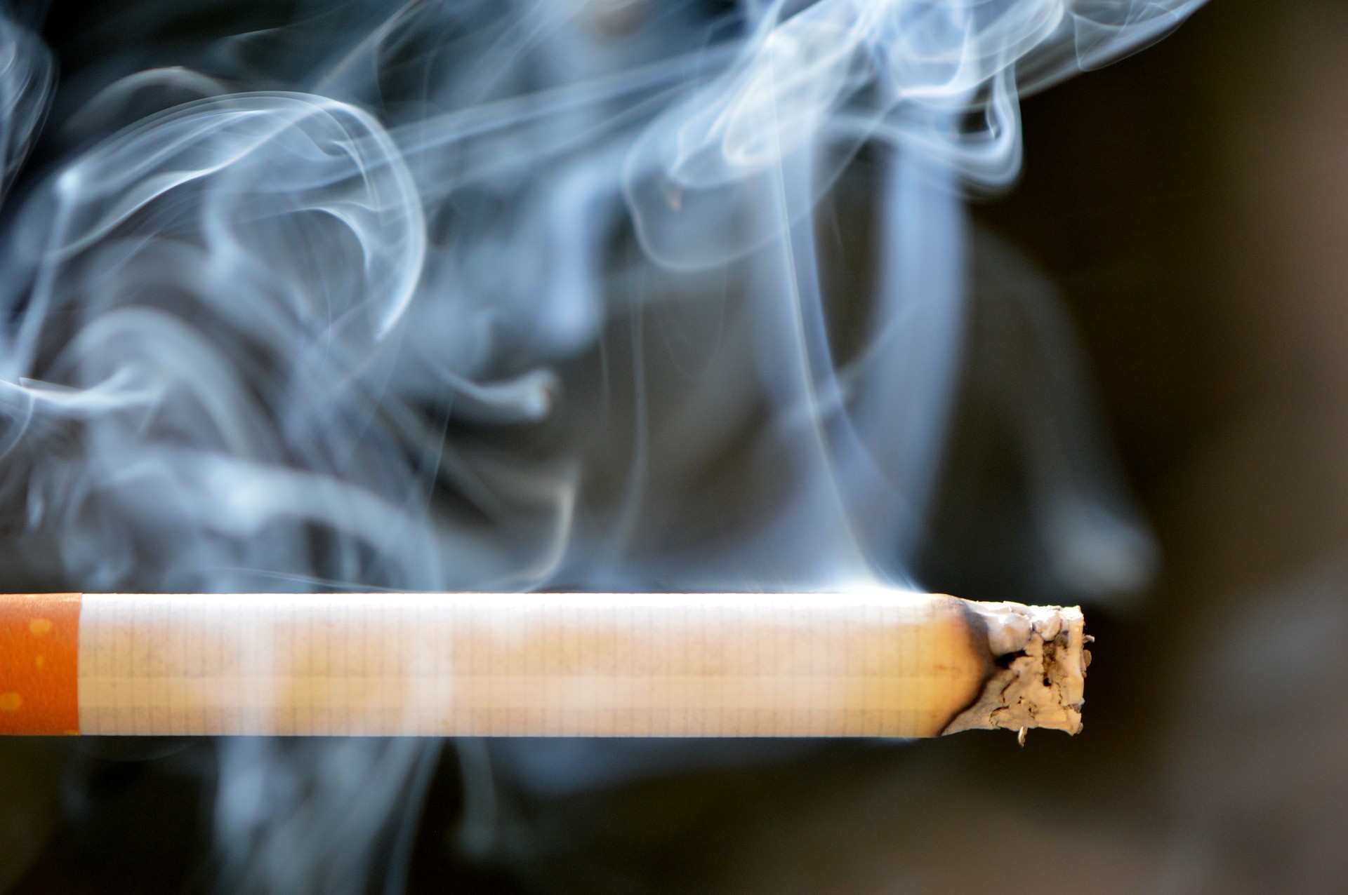 Il fumo causa 7 milioni di morti l’anno: in Italia i tabagisti aumentano