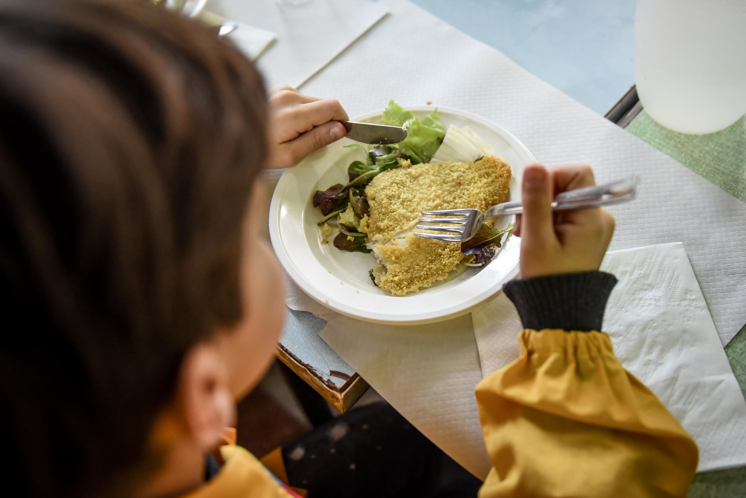 Escrementi di animali, pessime condizioni igeniche e carne non italiana: ecco le sette mense scolastiche chiuse