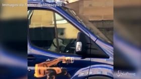 Un carlino ‘al volante’ di un camion suona il clacson all’impazzata