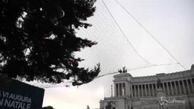 Roma, l’albero Spezzacchio ‘protetto’ con delle reti di protezione