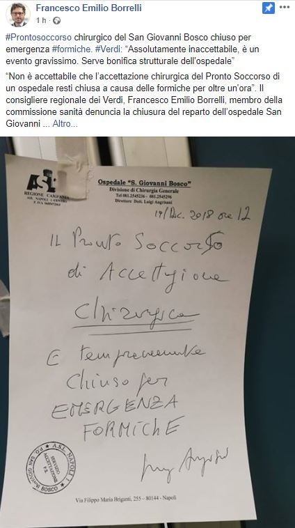 Napoli, formiche tra i medicinali all’ospedale San Giovanni Bosco: il nuovo video-denuncia di Borrelli